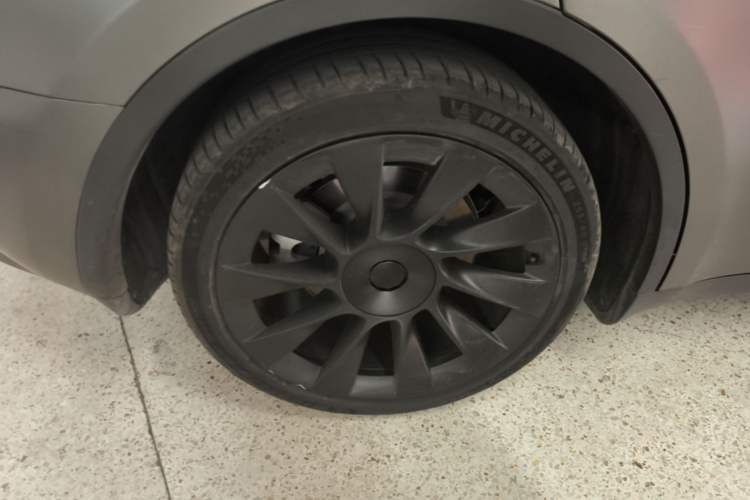 Used Tesla Model Y 2021 Standard Range Rear-Wheel Drive Version Exterior 5