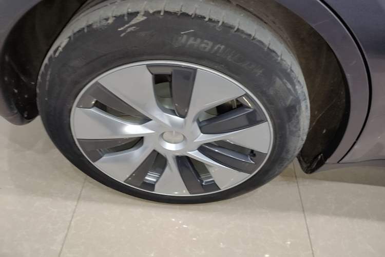 Used Tesla Model Y 2021 Standard Range Rear-Wheel Drive Version Exterior 5