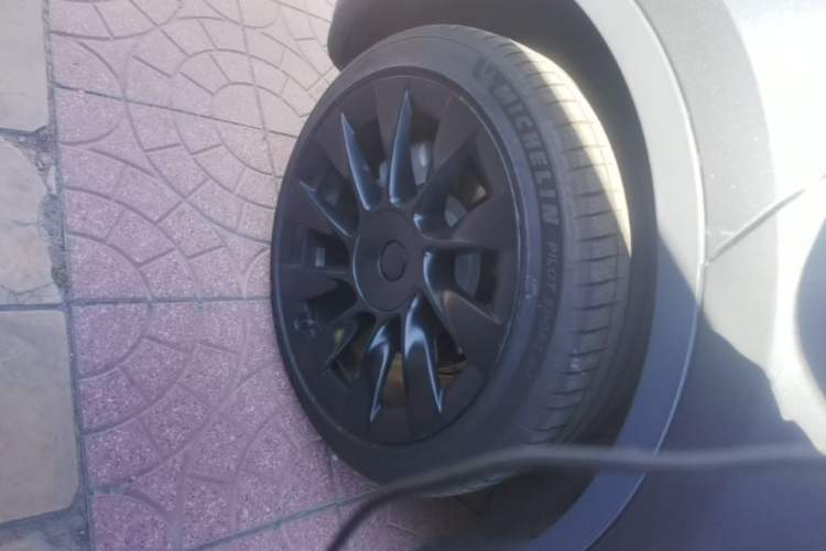 Used Tesla Model Y 2021 Long-Range All-Wheel-Drive Version Exterior 5