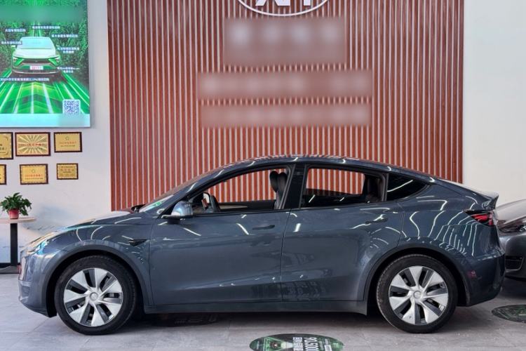 Used Tesla Model Y 2021 Standard Range Rear-Wheel Drive Version Exterior 6