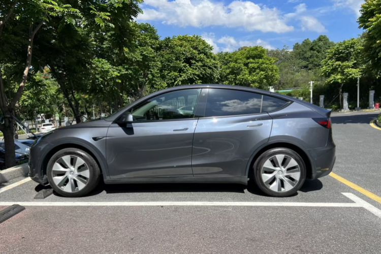 Used Tesla Model Y 2021 Standard Range Rear-Wheel Drive Version Exterior 6