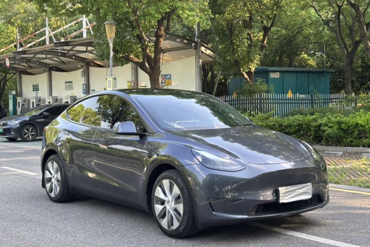 Used Tesla Model Y 2021 Standard Range Rear-Wheel Drive Version Exterior 6