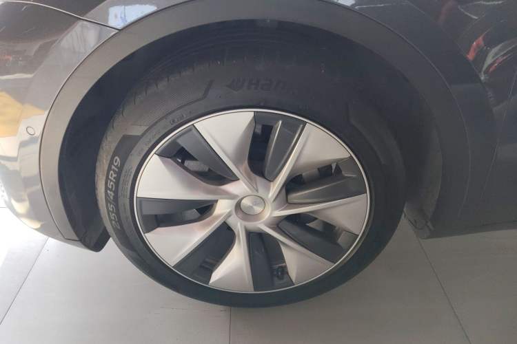 Used Tesla Model Y 2021 Long-Range All-Wheel-Drive Version Exterior 7