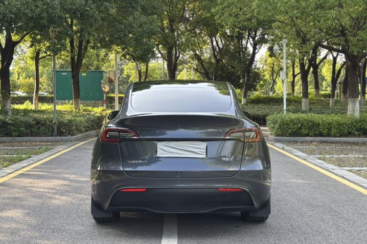 Used Tesla Model Y 2021 Standard Range Rear-Wheel Drive Version Exterior 7