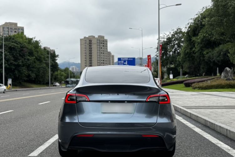 Used Tesla Model Y 2021 Long-Range All-Wheel-Drive Version Exterior 8