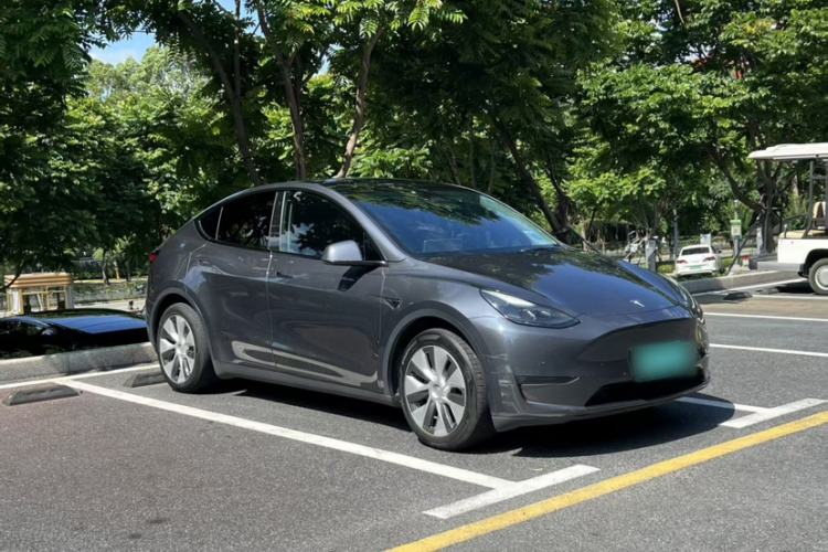 Used Tesla Model Y 2021 Standard Range Rear-Wheel Drive Version Exterior 8
