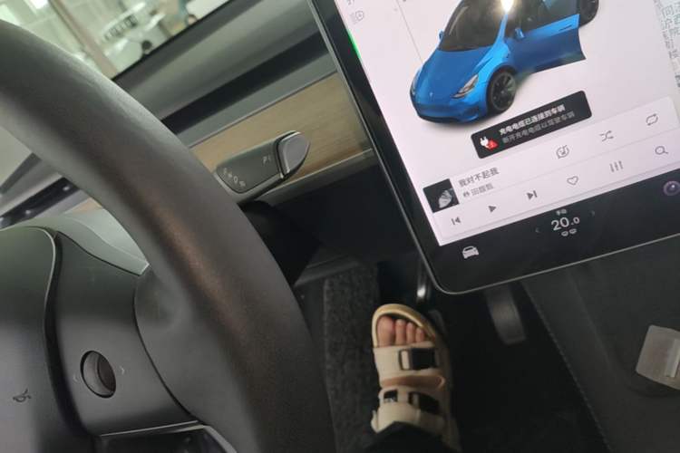 Used Tesla Model Y 2021 Long-Range All-Wheel-Drive Version Gear Lever