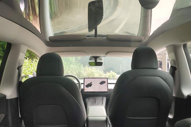 Used Tesla Model Y 2021 Long-Range All-Wheel-Drive Version Headliner