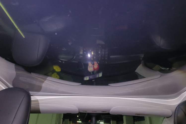 Used Tesla Model Y 2021 Standard Range Rear-Wheel Drive Version Headliner