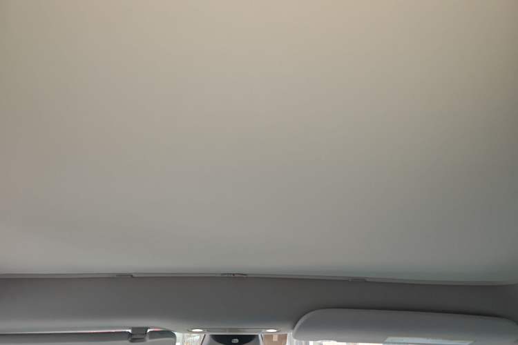 Used Tesla Model Y 2021 Standard Range Rear-Wheel Drive Version Headliner