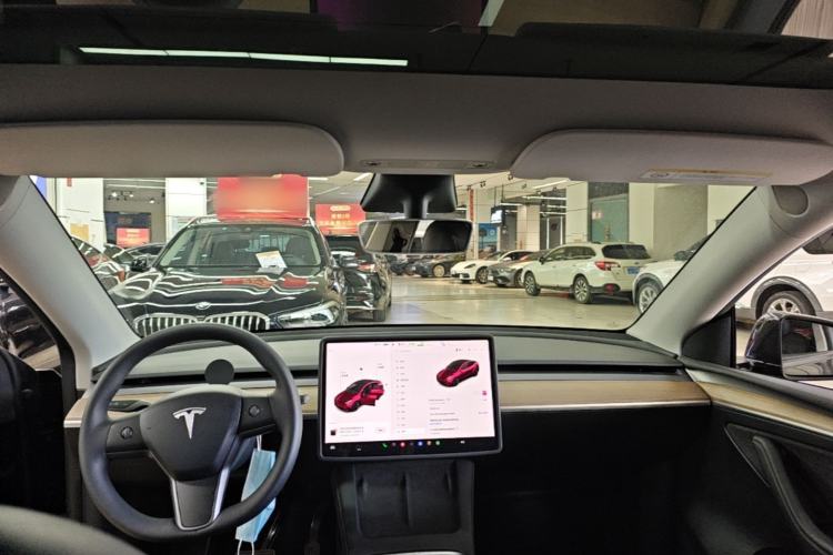 Used Tesla Model Y 2021 Standard Range Rear-Wheel Drive Version Headliner