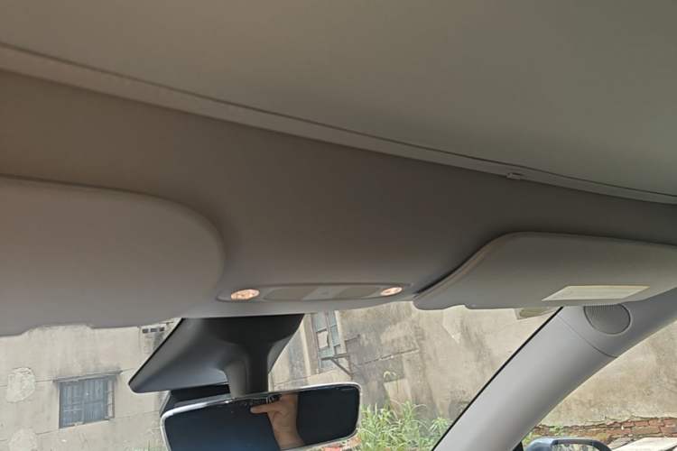 Used Tesla Model Y 2021 Standard Range Rear-Wheel Drive Version Headliner