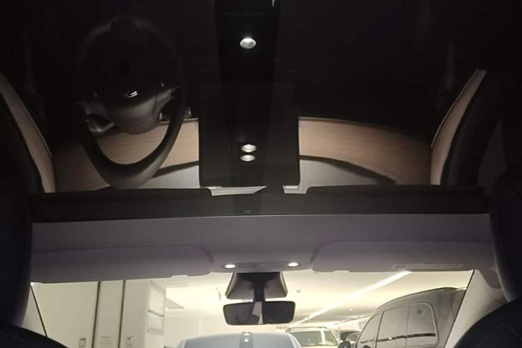 Used Tesla Model Y 2021 Standard Range Rear-Wheel Drive Version Headliner