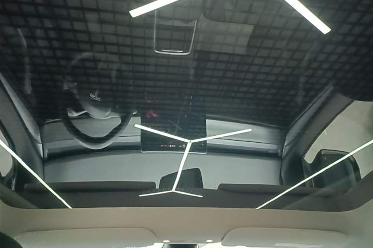 Used Tesla Model Y 2021 Long-Range All-Wheel-Drive Version Headliner