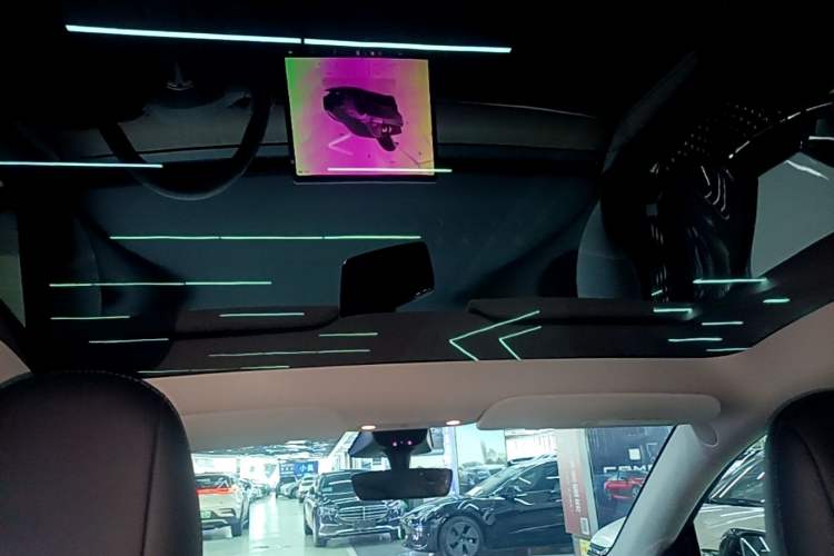 Used Tesla Model Y 2021 Performance High-Performance All-Wheel-Drive Version Headliner