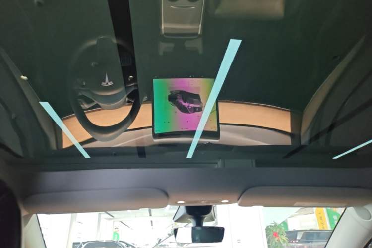 Used Tesla Model Y 2021 Performance High-Performance All-Wheel-Drive Version Headliner