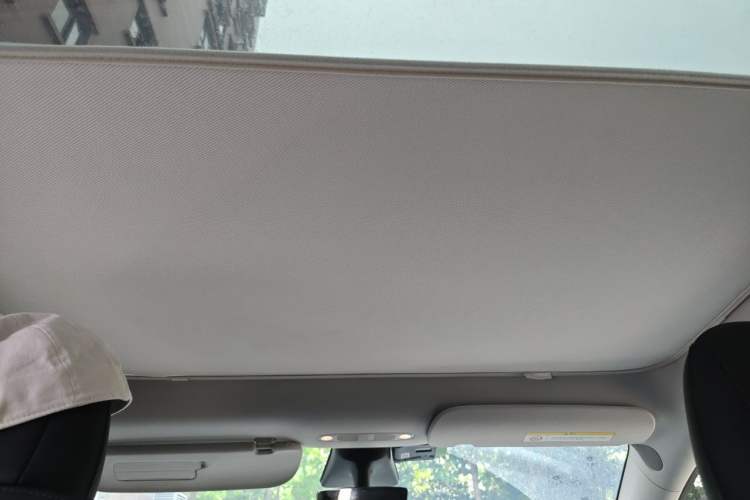 Used Tesla Model Y 2021 Long-Range All-Wheel-Drive Version Headliner