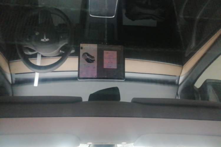 Used Tesla Model Y 2021 Long-Range All-Wheel-Drive Version Headliner