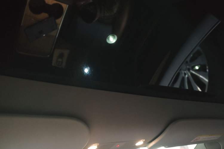 Used Tesla Model Y 2021 Long-Range All-Wheel-Drive Version Headliner