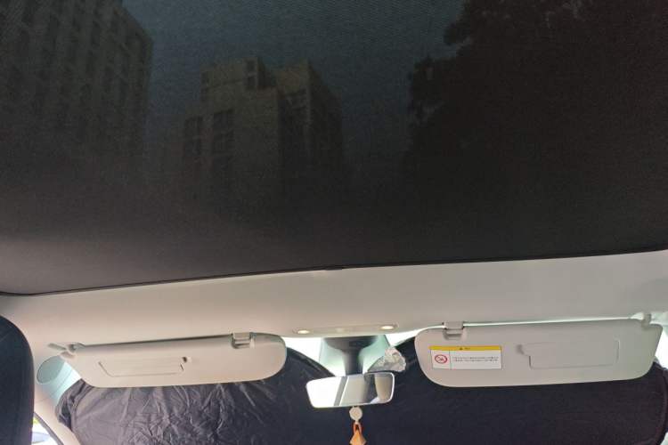 Used Tesla Model Y 2021 Long-Range All-Wheel-Drive Version Headliner