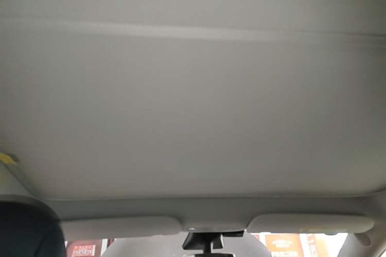 Used Tesla Model Y 2021 Long-Range All-Wheel-Drive Version Headliner