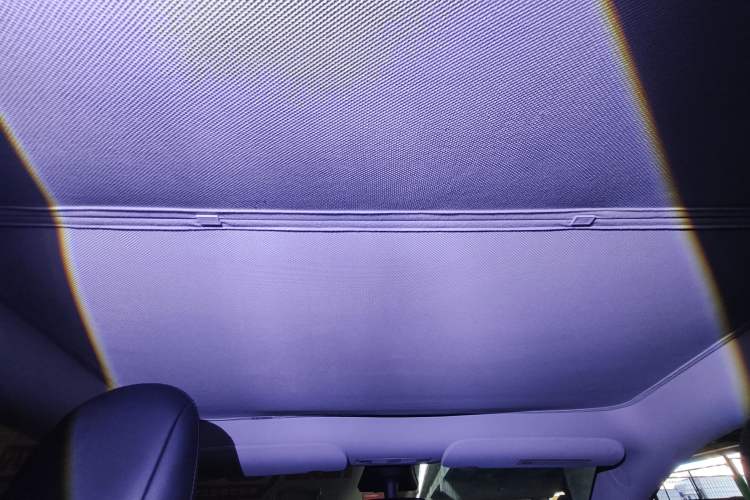 Used Tesla Model Y 2021 Standard Range Rear-Wheel Drive Version Headliner