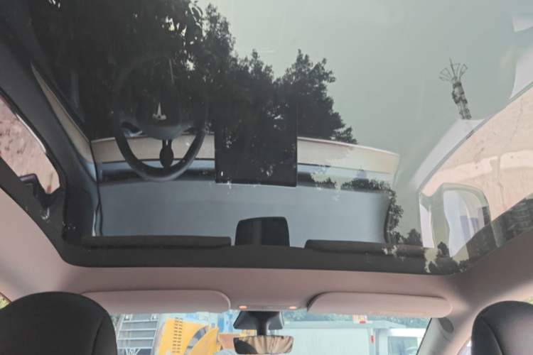 Used Tesla Model Y 2021 Long-Range All-Wheel-Drive Version Headliner
