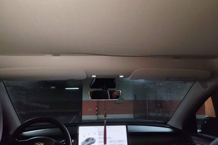 Used Tesla Model Y 2021 Standard Range Rear-Wheel Drive Version Headliner