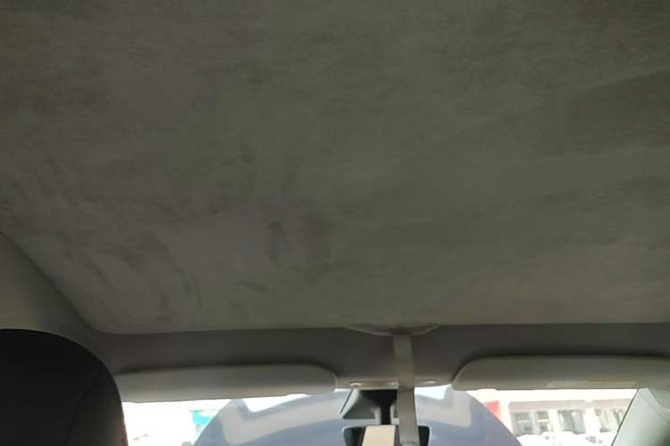 Used Tesla Model Y 2021 Long-Range All-Wheel-Drive Version Headliner