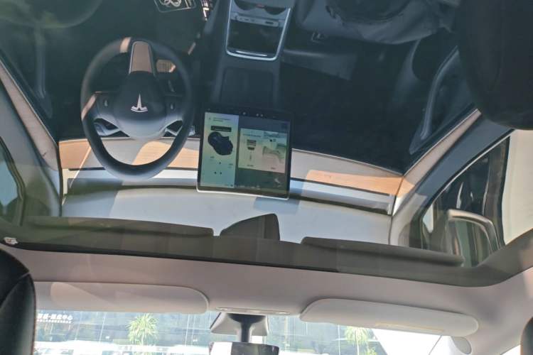 Used Tesla Model Y 2021 Long-Range All-Wheel-Drive Version Headliner
