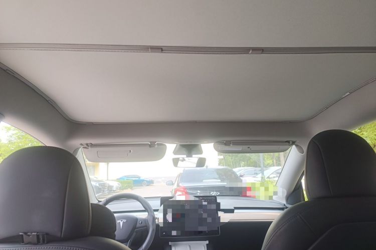 Used Tesla Model Y 2021 Long-Range All-Wheel-Drive Version Headliner