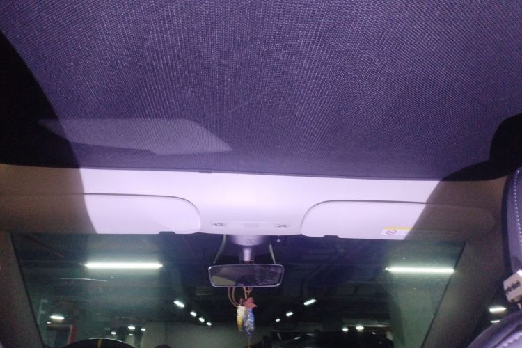 Used Tesla Model Y 2021 Standard Range Rear-Wheel Drive Version Headliner