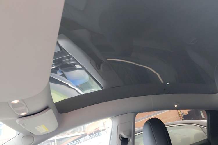 Used Tesla Model Y 2021 Long-Range All-Wheel-Drive Version Headliner