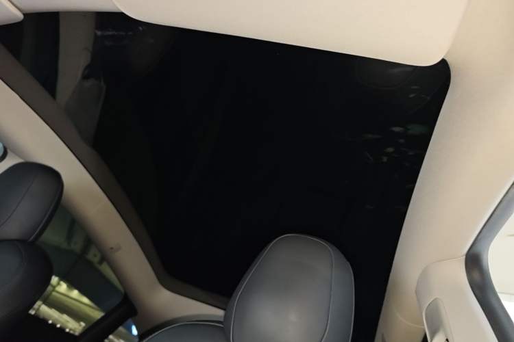 Used Tesla Model Y 2021 Standard Range Rear-Wheel Drive Version Headliner