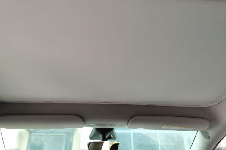 Used Tesla Model Y 2021 Standard Range Rear-Wheel Drive Version Headliner