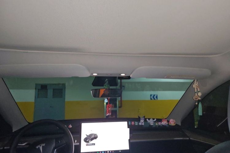 Used Tesla Model Y 2021 Long-Range All-Wheel-Drive Version Headliner