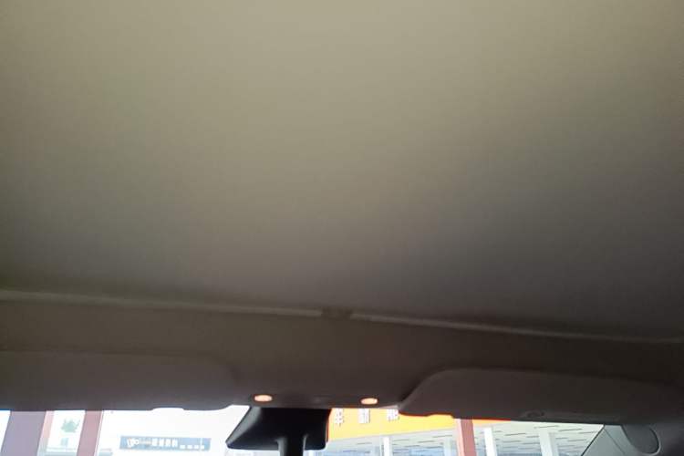 Used Tesla Model Y 2021 Long-Range All-Wheel-Drive Version Headliner