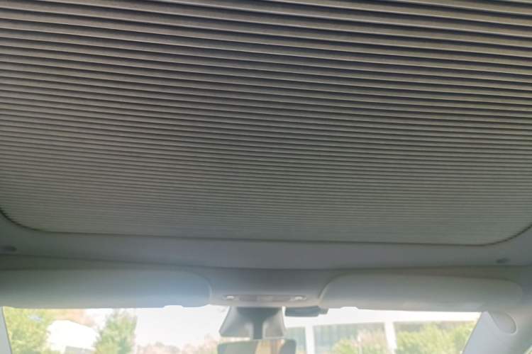 Used Tesla Model Y 2021 Standard Range Rear-Wheel Drive Version Headliner
