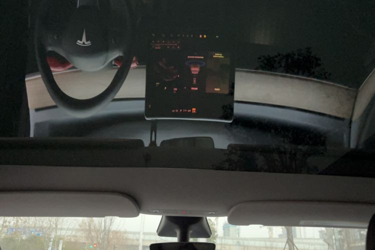 Used Tesla Model Y 2021 Long-Range All-Wheel-Drive Version Headliner