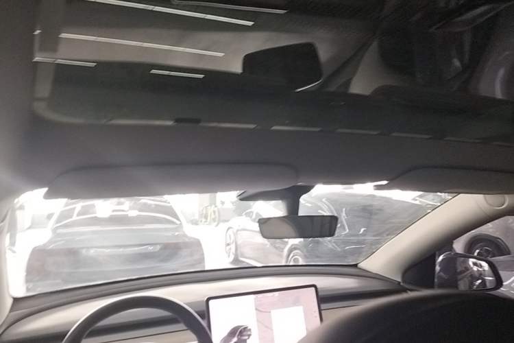 Used Tesla Model Y 2021 Standard Range Rear-Wheel Drive Version Headliner