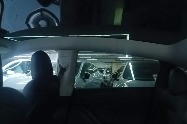 Used Tesla Model Y 2021 Standard Range Rear-Wheel Drive Version Headliner