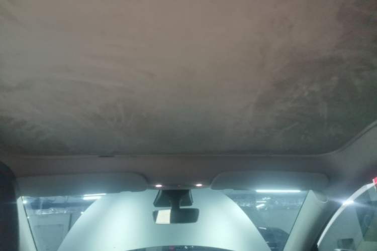 Used Tesla Model Y 2021 Standard Range Rear-Wheel Drive Version Headliner