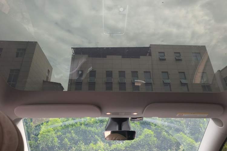 Used Tesla Model Y 2021 Long-Range All-Wheel-Drive Version Headliner