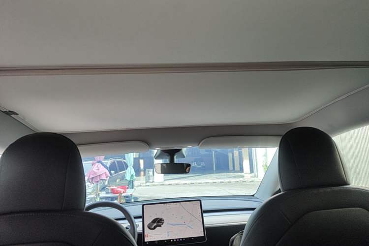 Used Tesla Model Y 2021 Long-Range All-Wheel-Drive Version Headliner