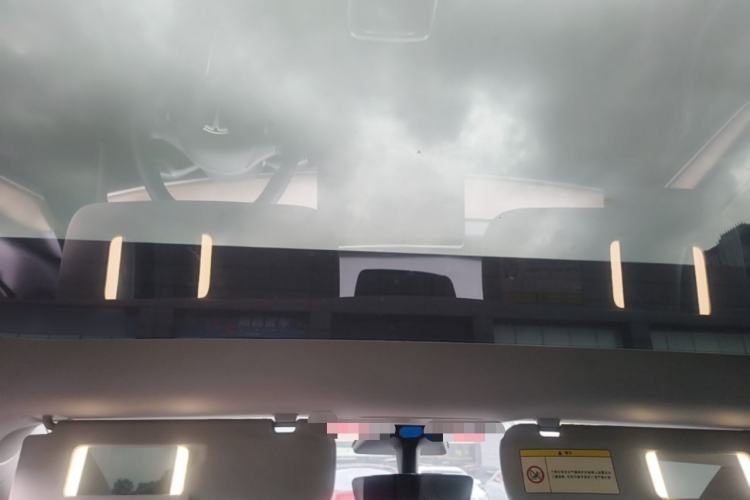 Used Tesla Model Y 2021 Long-Range All-Wheel-Drive Version Headliner