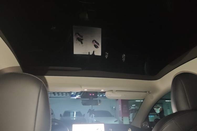 Used Tesla Model Y 2021 Performance High-Performance All-Wheel-Drive Version Headliner