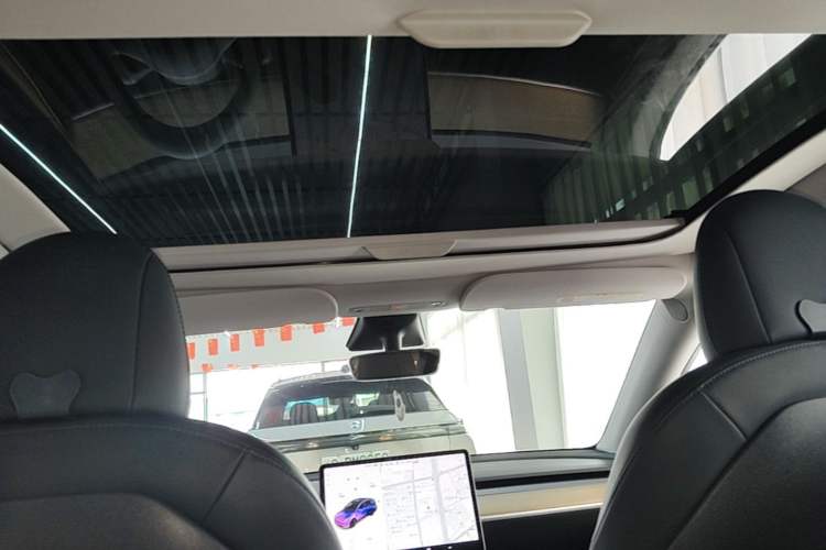 Used Tesla Model Y 2021 Long-Range All-Wheel-Drive Version Headliner