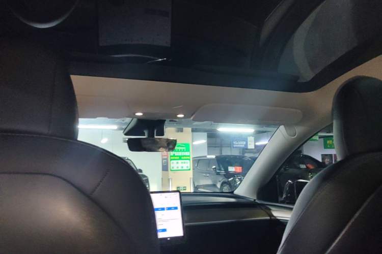 Used Tesla Model Y 2021 Standard Range Rear-Wheel Drive Version Headliner