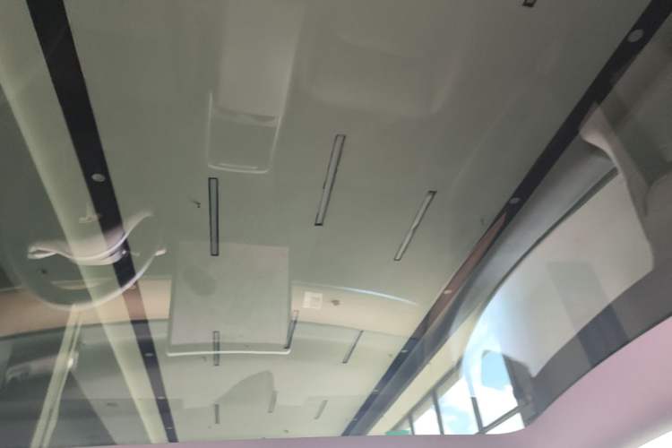 Used Tesla Model Y 2021 Standard Range Rear-Wheel Drive Version Headliner