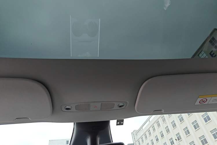 Used Tesla Model Y 2021 Standard Range Rear-Wheel Drive Version Headliner